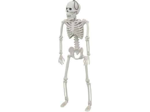 Kostlivec, 40 x 13 x 5 cm