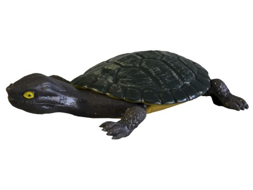 01942 - Želva strečová, 12 ks v boxu, 15cm