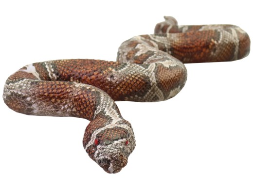 Zvířátka, 36 ks v display boxu