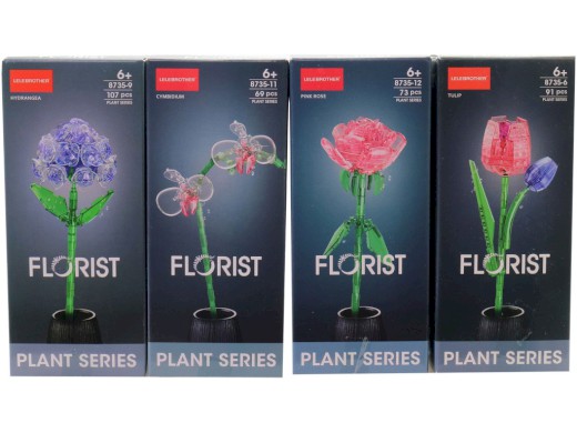 Kytka, 12 ks v display boxu