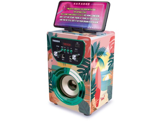 Karaoke reproduktor Tropical Vibes s 2 bezdrátovými mikrofony (Bluetooth) – NEW 2026