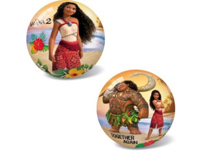 87427-24512 Míč VAIANA II, 23 cm