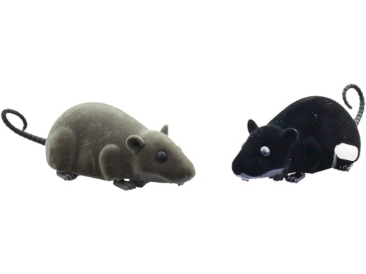 Myš na natažení, 12 kusů v display boxu