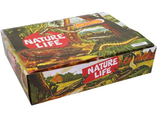 Zvířátko hmyz, 24 ks v display boxu, 13 cm