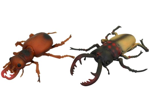 Zvířátko hmyz, 24 ks v display boxu, 13 cm