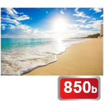 50 000 Kč na zájezd na Bahamy