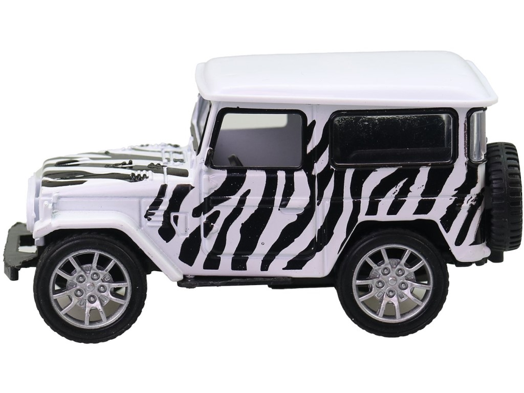 Auto safari, 9,5 cm