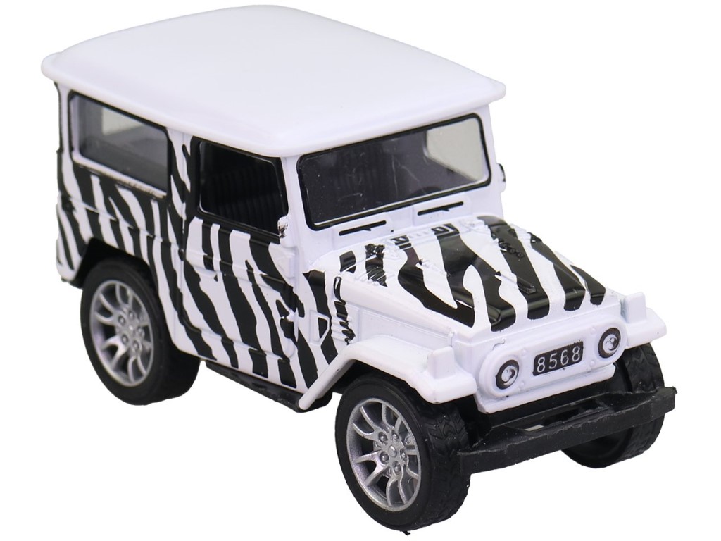 Auto safari, 9,5 cm