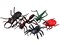 07528 - Zvířátka hmyz, 5 ks, 6 cm